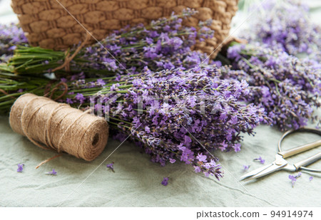 Seasonal pruning of lavender. 94914974