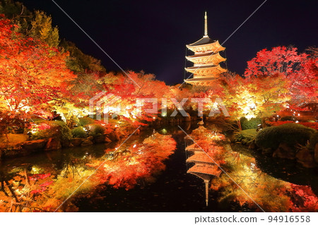 [京都府]東寺紅葉亮起（特別夜景） 94916558