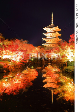 [Kyoto Prefecture] Autumn leaves light up at Toji Temple (special night viewing) 94916566