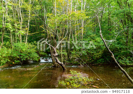 Shishigahana Wetlands, a beautiful clear stream, Akita Prefecture 94917118