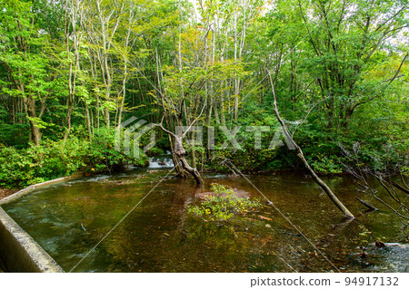 Shishigahana Wetlands, a beautiful clear stream, Akita Prefecture 94917132