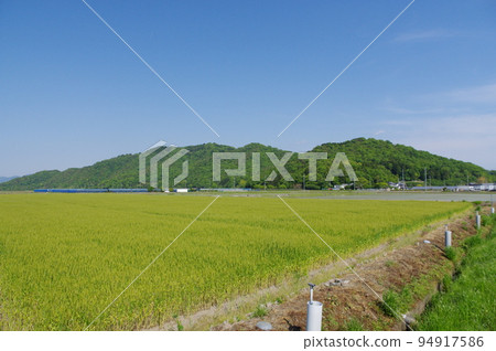 從琵琶湖畔眺望甲仁山 從琵琶湖畔眺望甲仁山 94917586