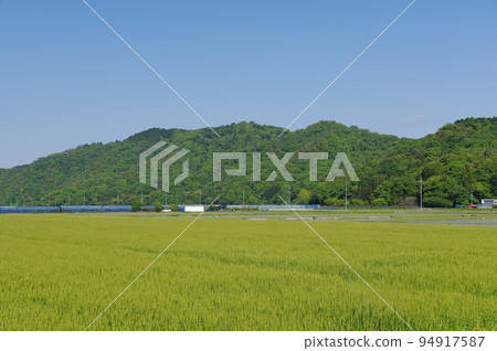 從琵琶湖畔眺望甲仁山 從琵琶湖畔眺望甲仁山 94917587