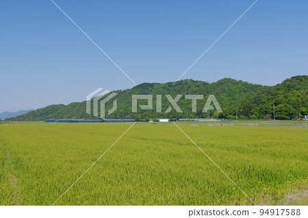 從琵琶湖畔眺望甲仁山 從琵琶湖畔眺望甲仁山 94917588