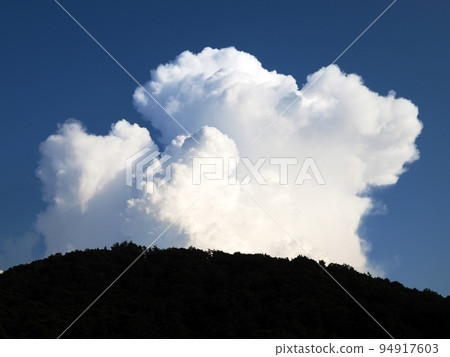 盛夏時節,漫山遍野的巨大白色積雨雲在藍天的映襯下顯得格外美麗。 盛夏時節,漫山遍野的巨大白色積雨雲在藍天的映襯下顯得格外美麗。 94917603