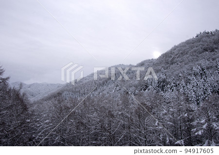 初冬的時候，山上的樹上披著一層薄薄的白雪，清晨的陽光從山上灑下來，美不勝收。 94917605
