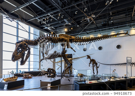 Nagasaki City Dinosaur Museum [Nomo Town, Nagasaki City, Nagasaki Prefecture] 94918673
