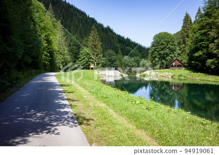 Reflection of coniferous trees in reservoir at forest 94919061