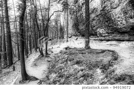 Hiking in Bohemian Switzerland 94919072