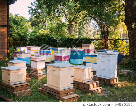 Countryside apiary. Apiculture village. Natural honey. Colorful wooden beekeeping colony in sunny daylight garden outdoor. Countryside apiary. Apiculture village. Natural honey. Colorful wooden beekeeping colony in sunny daylight garden outdoor. 94920195