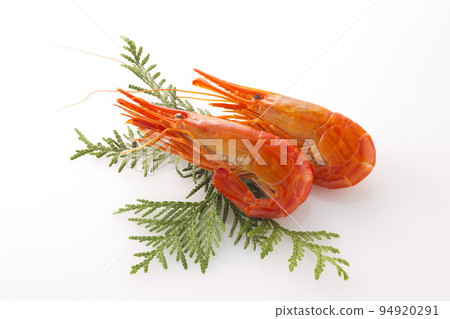 Hokkaido shimae shrimp on white background 94920291