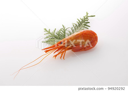 Hokkaido shimae shrimp on white background Hokkaido shimae shrimp on white background 94920292