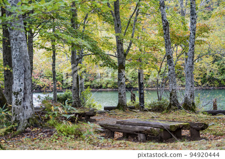 Dokko Swamp in autumn Autumn leaves scenery Yamagata City, Yamagata Prefecture 94920444