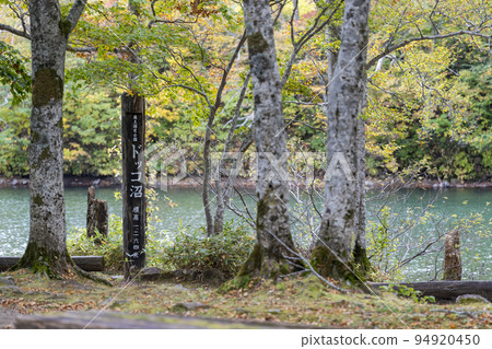 Dokko Swamp in autumn Autumn leaves scenery Yamagata City, Yamagata Prefecture 94920450