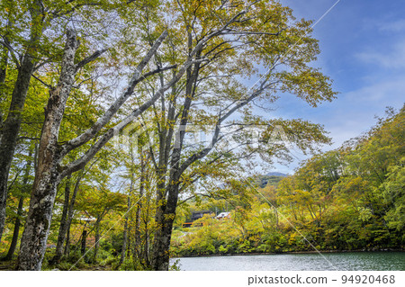 Dokko Swamp in autumn Autumn leaves scenery Yamagata City, Yamagata Prefecture 94920468