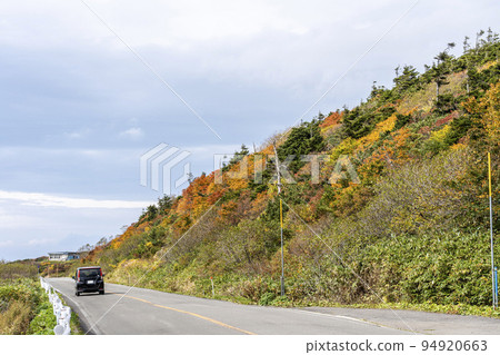 Zao Echo Line in autumn Autumn leaves scenery Shichikashuku town, Miyagi prefecture Zao Echo Line in autumn Autumn leaves scenery Shichikashuku town, Miyagi prefecture 94920663