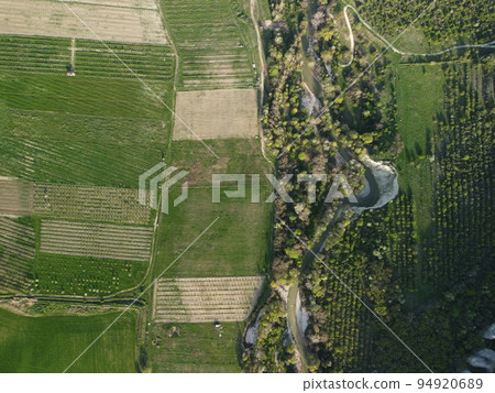 Aerial view on green wheat field in countryside. Field of wheat blowing in the wind on sunset. Young and green Spikelets. Ears of barley crop in nature. Agronomy, industry and food production. Aerial view on green wheat field in countryside. Field of wheat blowing in the wind on sunset. Young and green Spikelets. Ears of barley crop in nature. Agronomy, industry and food production. 94920689