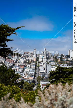 San Francisco sloped street city view from Pioneer park in the summer. Travelling in the usa NoCal California Nature travel landscape background San Francisco sloped street city view from Pioneer park in the summer. Travelling in the usa NoCal California Nature travel landscape background 94920830