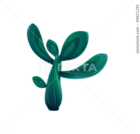 Succulent cactus agave neglecta wild century plant isolated pelmeri americana with broad leaves. Vector mexican cactus, cartoon botanical herb with spikes, exotic agave flower marginata succulent 94921295
