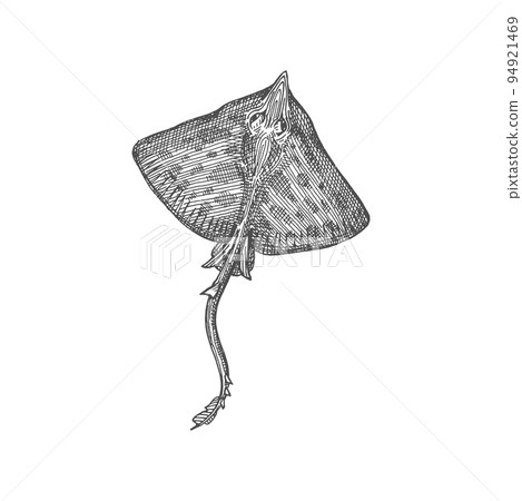 Manta stingray marine animal isolated ray in dots monochrome sketch icon. Vector nautical creature with flattened shape body, Batoidea stingray sankar fish with outspread pectoral fins and long tail Manta stingray marine animal isolated ray in dots monochrome sketch icon. Vector nautical creature with flattened shape body, Batoidea stingray sankar fish with outspread pectoral fins and long tail 94921469