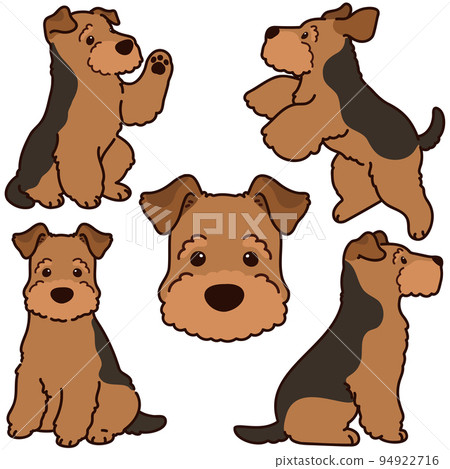 Simple and cute Welsh Terrier illustration set with main lines Simple and cute Welsh Terrier illustration set with main lines 94922716