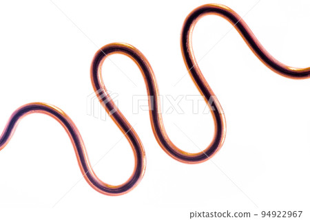 Pure Copper Wire Isolated on White Background 94922967