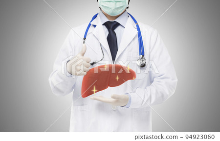 doctor holding healthy liver , liver concept doctor holding healthy liver , liver concept 94923060