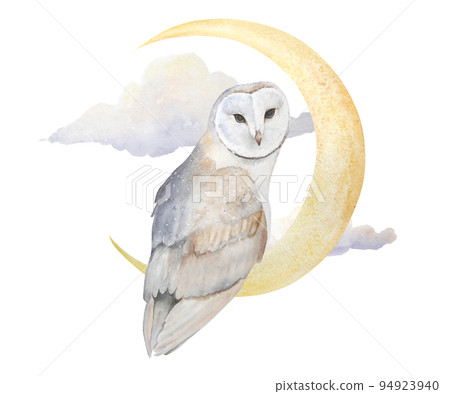 Watercolor illustration of owl with moon and clouds isolated 94923940