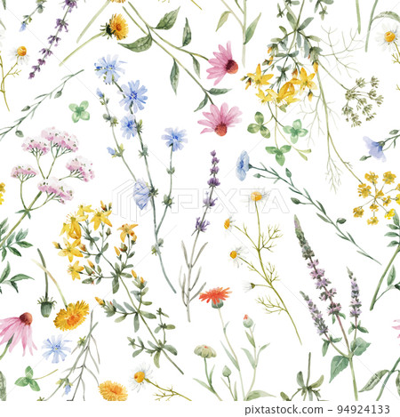 Beautiful vector floral seamless pattern with watercolor hand drawn summer wild field flowers. Stock illustration. 94924133