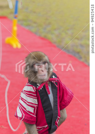 猴子 mawashi 表演 日本猴子 猴子表演者 娛樂 奇觀 街頭表演者 街頭表演 猴子 mawashi 表演 日本猴子 猴子表演者 娛樂 奇觀 街頭表演者 街頭表演 94925418
