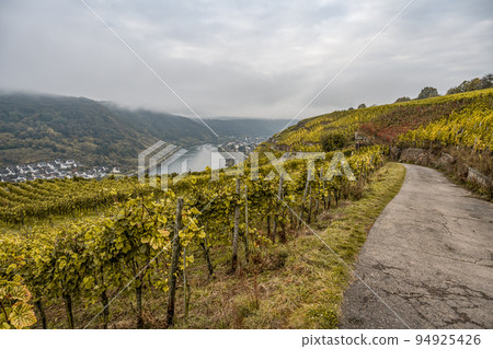 Famous German Wine Region Moselle River Lay and Guels village Autumn Fall colors Famous German Wine Region Moselle River Lay and Guels village Autumn Fall colors 94925426