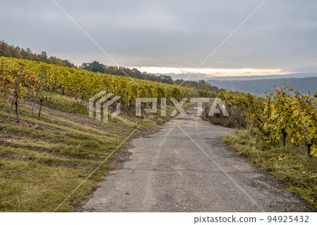 Famous German Wine Region Moselle River Lay and Guels village Autumn Fall colors Famous German Wine Region Moselle River Lay and Guels village Autumn Fall colors 94925432