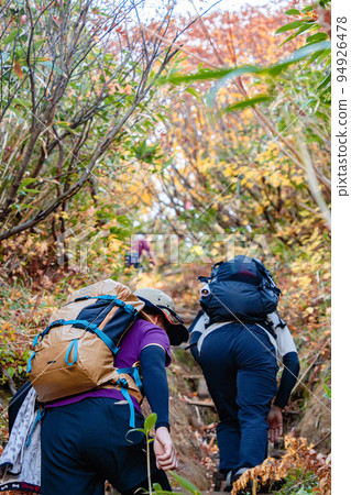 Climbing the autumn leaves Climbing the autumn leaves 94926478