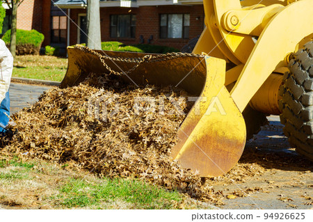 By using bulldozer trucks, workers from municipalities across the entire city clean up fallen leaves beside houses during the autumn. 94926625