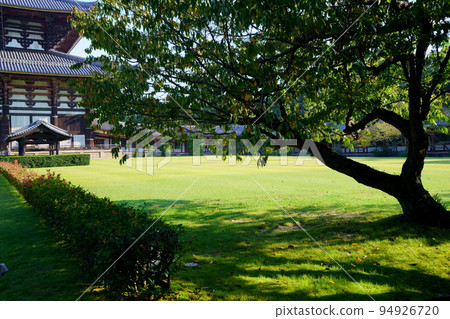 Early autumn morning in front of the Great Buddha Hall of Todaiji Temple 94926720