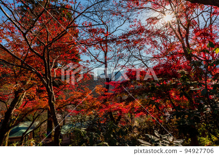 奈良縣長谷寺秋季陽光明媚的紅葉和湛藍的天空 94927706