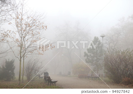 Foggy morning in the park. Autumn background in the city. 94927842