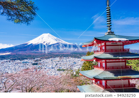 (Yamanashi Prefecture) Mt. Fuji seen from Japanese beauty, cherry blossoms and snow, Nii Kurayama Asama Park (Yamanashi Prefecture) Mt. Fuji seen from Japanese beauty, cherry blossoms and snow, Nii Kurayama Asama Park 94928250