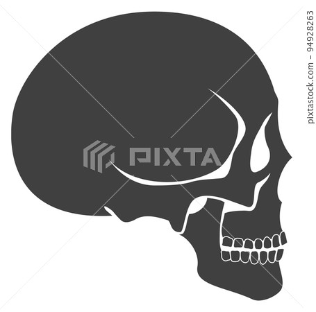 Human skull side view. Head anatomy icon Human skull side view. Head anatomy icon 94928263