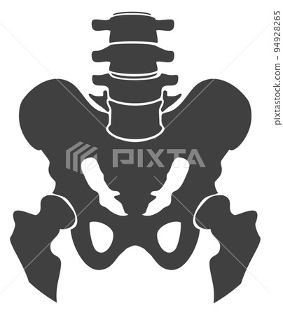 Pelvis bones black icon. Human body structure Pelvis bones black icon. Human body structure 94928265