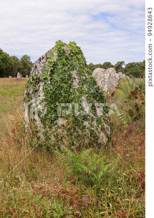 Alignment of Kerlescan, megalithic monuments in Carnac 94928643