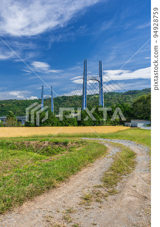 A farm road with a view of Tomei Ashigara Bridge A farm road with a view of Tomei Ashigara Bridge 94928759