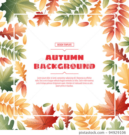 Square frame with autumn leaves of maple, rowan, oak. Autumn background with variegated foliage. Suitable for banners, cards, flyers, etc. 94929106