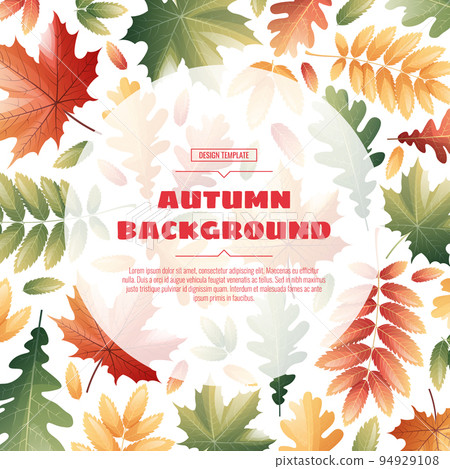 Round frame with autumn leaves of maple, rowan, oak. Autumn background with variegated foliage. Suitable for banners, cards, flyers, etc 94929108