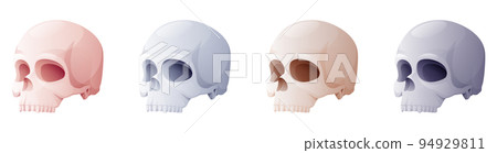 Set of skulls on a white background. Cartoon vector illustration for Halloween holiday. Terrible and terrible holiday symbol. Set of skulls on a white background. Cartoon vector illustration for Halloween holiday. Terrible and terrible holiday symbol. 94929811