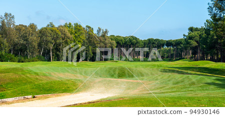 Road for golf cars on a golf course, smooth green grass on a sunny day and pine trees 94930146