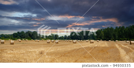 Dramatic sky over a field of harvested wheat in vibrant colors Dramatic sky over a field of harvested wheat in vibrant colors 94930335