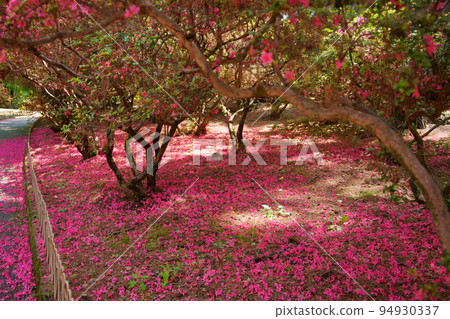 加造寺公園 辻 加造寺公園 辻 94930337