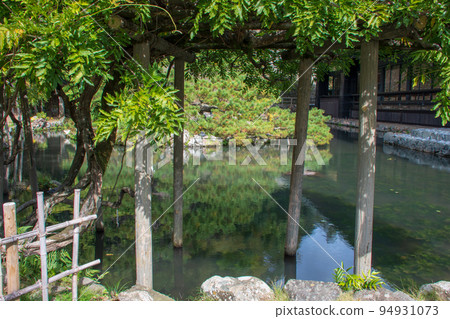 出雲大社神樂堂旁邊的鏡之池的紫藤格子和島台的松樹 出雲大社神樂堂旁邊的鏡之池的紫藤格子和島台的松樹 94931073