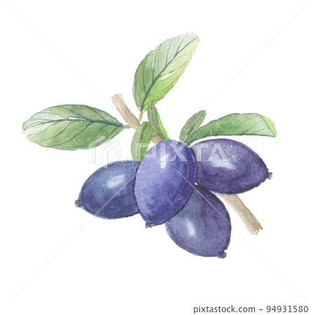 藍靛 藍靛 94931580